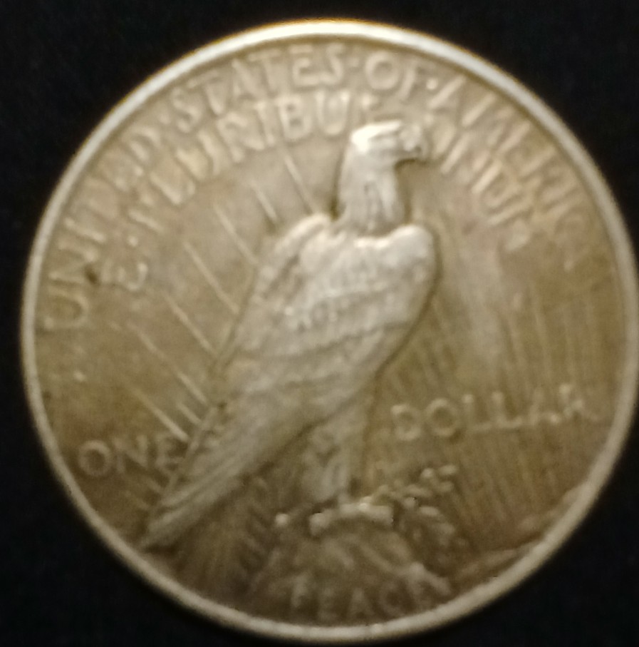 1923-Dollar-For-Grading